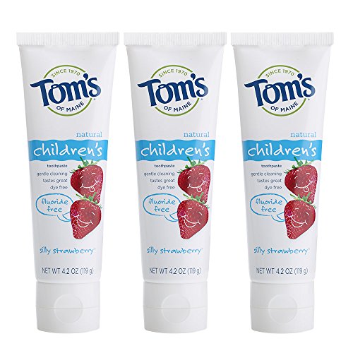 Tom's of Maine Silly Strawberry Kids Toothpaste (Fluoride-Free)
