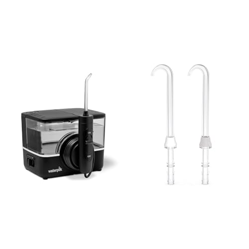 Waterpik Ion Water Flosser